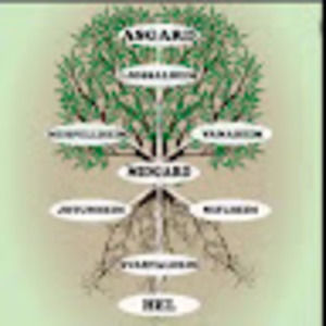 Meet your Posher, Turia